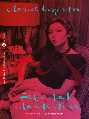 cover image of Felicidad clandestina